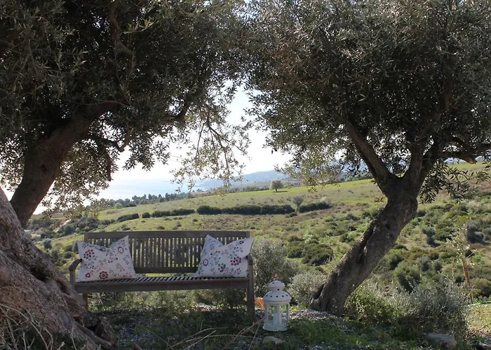 By Sveva Casa de Férias