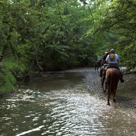 By Sveva Hébergement de vacances Rocca Imperiale