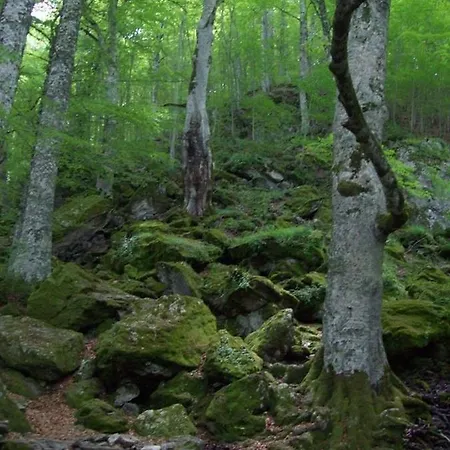 Holiday home By Sveva Rocca Imperiale