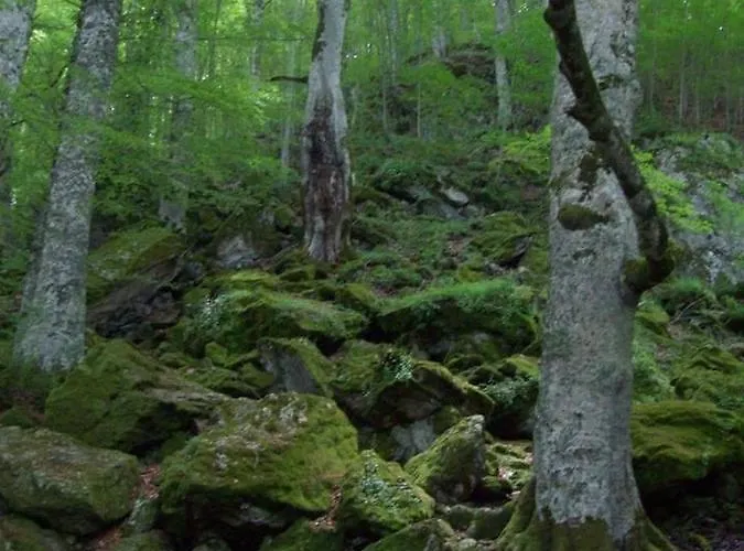 Дом отдыха By Sveva Рокка-Империале